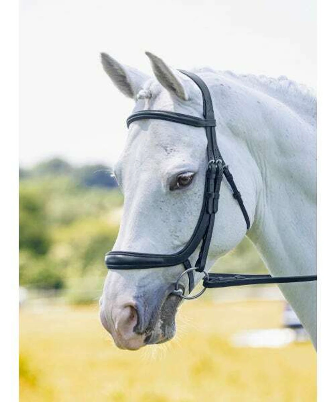 Shires Rapida Ergonomic Curved Cavesson Bridle 3 Shires Rapida Ergonomic Curved Cavesson Bridle
