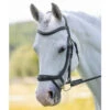 Shires Rapida Ergonomic Curved Flash Bridle -The Horse Care Shop shires rapida ergonomic curved flash bridle 78702.1644124771