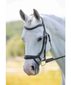 Shires Rapida Ergonomic Curved Flash Bridle