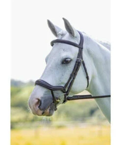 Shires Rapida Ergonomic Flash Bridle -The Horse Care Shop shires rapida ergonomic flash bridle 22454.1644124885