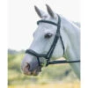 Shires Rapida Ergonomic Flash Bridle -The Horse Care Shop shires rapida ergonomic flash bridle 68938.1644124903