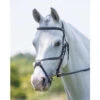 Shires Rapida Freedom Fit Grackle Bridle