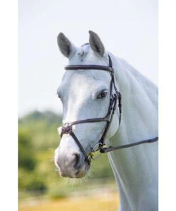 Shires Rapida Freedom Fit Grackle Bridle -The Horse Care Shop shires rapida freedom fit grackle bridle 91441.1644124884