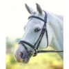 Shires Rapida Freedom Fit Padded Flash Bridle 1 Shires Rapida Freedom Fit Padded Flash Bridle -The Horse Care Shop shires rapida freedom fit padded flash bridle 79724.1644125009