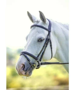 Shires Rapida Freedom Fit Padded Flash Bridle