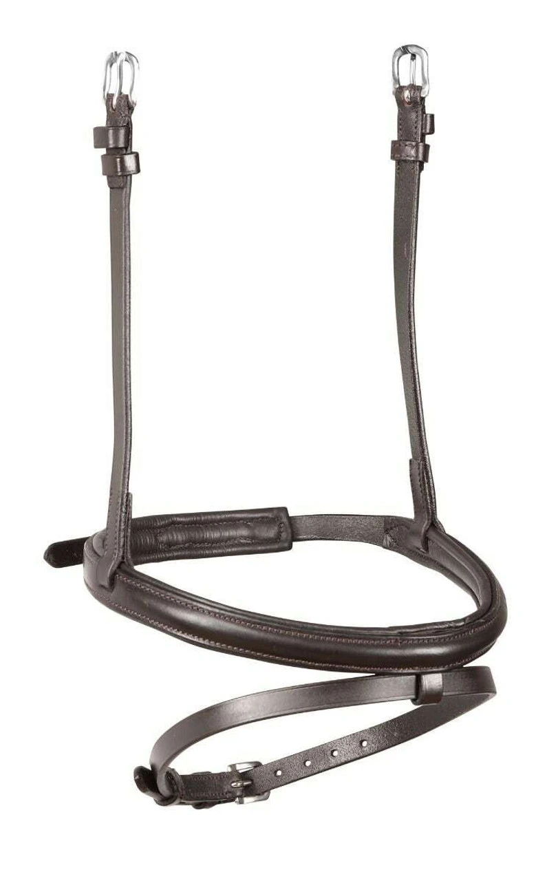 Shires Rapida Padded Raised Flash Noseband 4 Shires Rapida Padded Raised Flash Noseband - Image 2