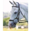 Shires Rapida Rolled Padded Cavesson Bridle -The Horse Care Shop shires rapida rolled padded cavesson bridle 32529.1644125133