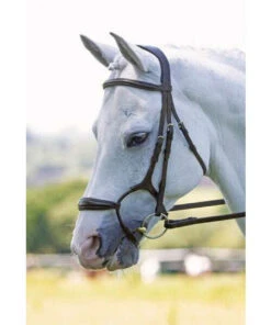 Shires Rapida Rolled Padded Cavesson Bridle