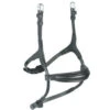 Shires Rapida Rolled Padded Cavesson Noseband