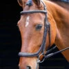 Shires Salisbury Berekeley Ergonomic Cavesson Bridle -The Horse Care Shop shires salisbury berekeley ergonomic cavesson bridle 87005.1655026614
