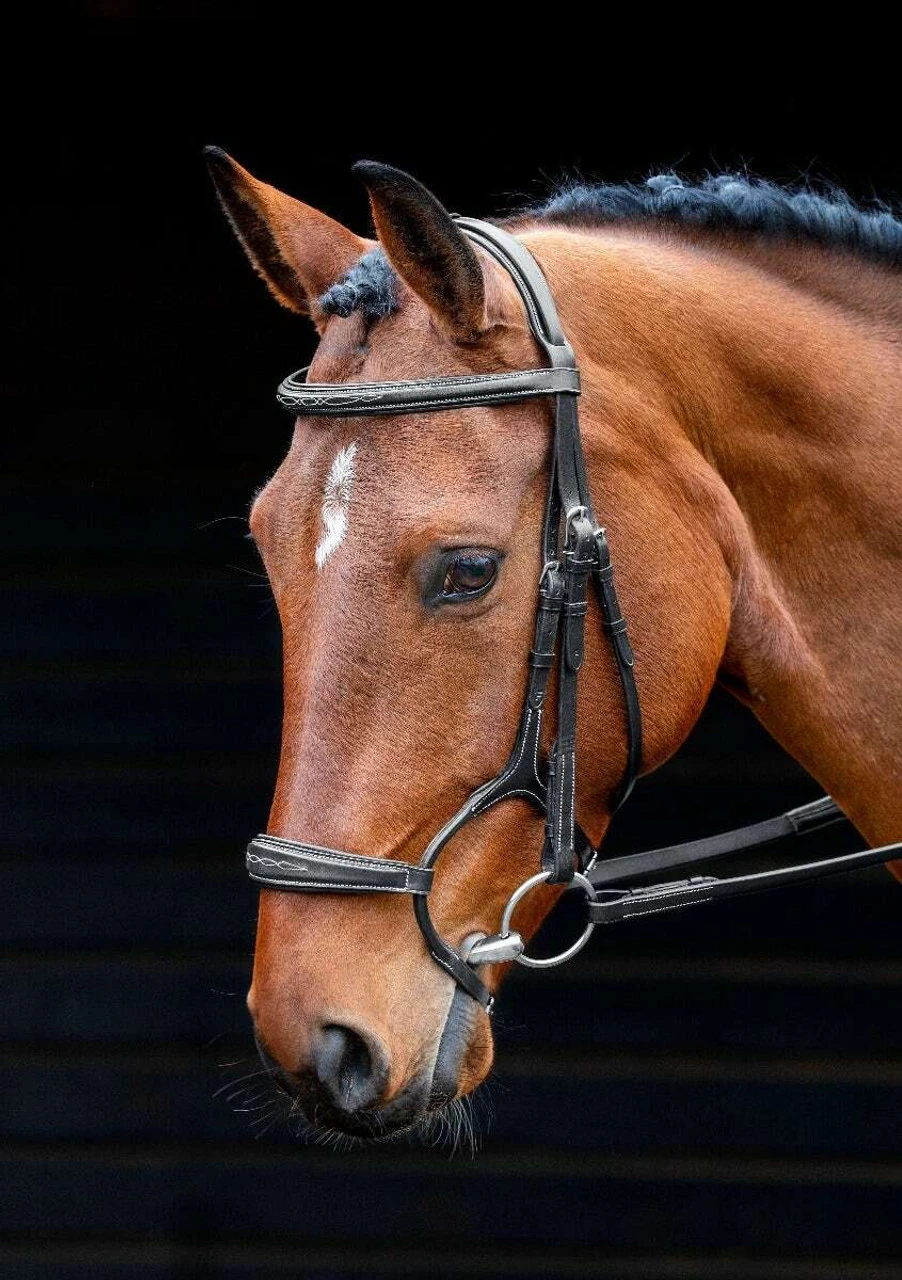 Shires Salisbury Brampton Ergonomic Rolled Bridle 4 Shires Salisbury Brampton Ergonomic Rolled Bridle - Image 2