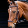 Shires Salisbury Brampton Ergonomic Rolled Bridle -The Horse Care Shop shires salisbury brampton ergonomic rolled bridle 85690.1655026611