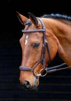 Shires Salisbury Brampton Ergonomic Rolled Bridle