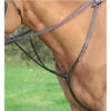 Shires Aviemore Hunting Breastplates 2 Shires Aviemore Hunting Breastplates -The Horse Care Shop shires shires aviemore hunting breastplates 68247.1631697647