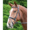 Shires Aviemore Raised Flash Bridles (5002) -The Horse Care Shop shires shires aviemore raised flash bridles 5002 18981.1631698369
