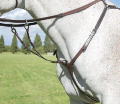 Shires Avignon 3 Point Breastplates - All Colours 7 Shires Avignon 3 Point Breastplates - All Colours -The Horse Care Shop shires shires avignon 3 point breastplates all colours 40382.1638147021