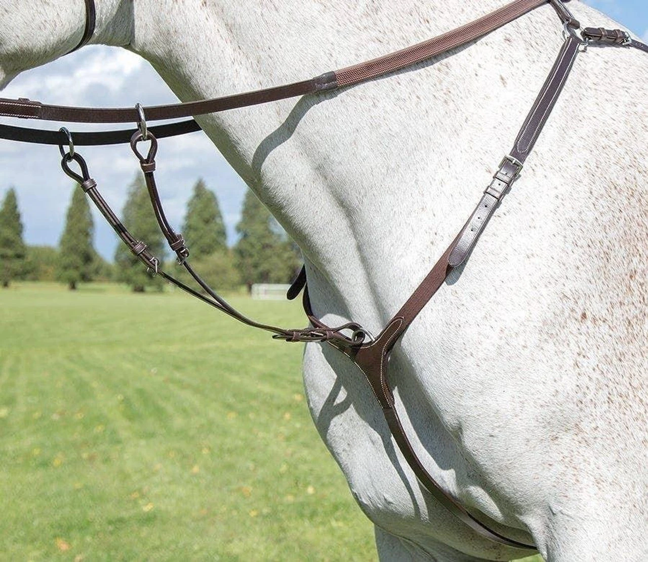 Shires Avignon 3 Point Breastplates - All Colours 5 Shires Avignon 3 Point Breastplates - All Colours - Image 3