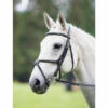 Shires Avignon Grackle Bridles -The Horse Care Shop shires shires avignon grackle bridles 58335.1631697512