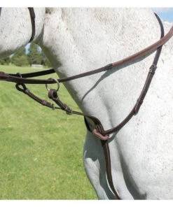 Shires Avignon Running Martingales - All Colours -The Horse Care Shop shires shires avignon running martingales all colours 55656.1638147016