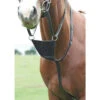 Shires Bib Martingales -The Horse Care Shop shires shires bib martingales 45332.1631698707