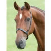 Shires Blenheim Cavesson Noseband (342G) -The Horse Care Shop shires shires blenheim cavesson noseband 342g 15886.1631697752