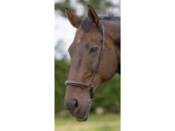 Shires Blenheim Drop Nosebands