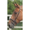 Shires Blenheim Flash Nosebands -The Horse Care Shop shires shires blenheim flash nosebands 10901.1631697274