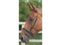 Shires Blenheim Flash Nosebands