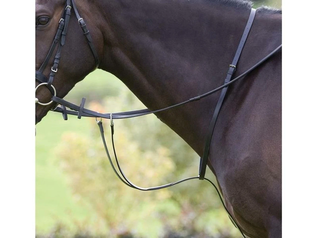Shires Blenheim Running Martingales (4192) 3 Shires Blenheim Running Martingales (4192)