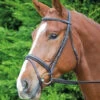 Shires Comfort Bridle With Flash Noseband (5003) -The Horse Care Shop shires shires comfort bridle with flash noseband 5003 16195.1631696666