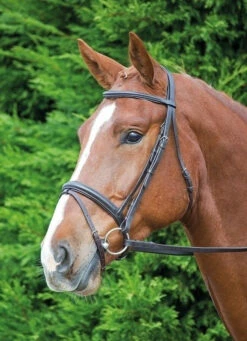 Shires Comfort Bridle With Flash Noseband (5003)