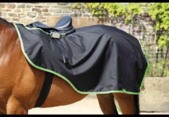 Shires Continental Exercise Sheets