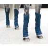 Shires Economy Travel Boots - Set Of 4 -The Horse Care Shop shires shires economy travel boots set of 4 22627.1631698097