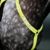 Shires Equi-Flector Breastplate - All Colours -The Horse Care Shop shires shires equi flector breastplate 84642.1631696688