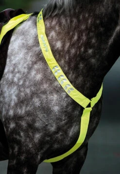 Shires Equi-Flector Breastplate - All Colours