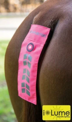 Shires Equi-Flector Flashing Tail Strap - Pink