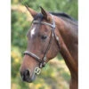 Shires Fancy Stitched In Hand Bridles -The Horse Care Shop shires shires fancy stitched in hand bridles 87595.1631698713