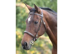 Shires Fancy Stitched In Hand Bridles