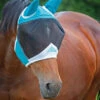 Shires Fine Mesh Fly Mask With Ears (6662) -The Horse Care Shop shires shires fine mesh fly mask with ears 6662 26605.1631697521