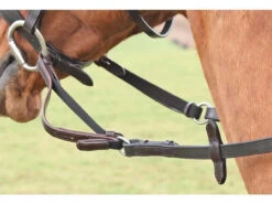 Shires Flexi Reins - Elastic Inserts For Reins