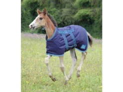 Shires Foal Turnout Rugs