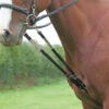 Shires Harbridge Training Aids -The Horse Care Shop shires shires harbridge training aids 59392.1631698232
