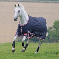 Shires Highlander 200g Turnout Rugs - Standard Neck -The Horse Care Shop shires shires highlander 200g turnout rugs standard neck 47999.1631523522