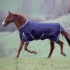 Shires Highlander 200g Turnout Rugs - Standard Neck 1 Shires Highlander 200g Turnout Rugs - Standard Neck -The Horse Care Shop shires shires highlander 200g turnout rugs standard neck 56082.1631523766