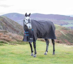 Shires Highlander 200g Turnout Rugs - Standard Neck -The Horse Care Shop shires shires highlander 200g turnout rugs standard neck 85964.1631523387