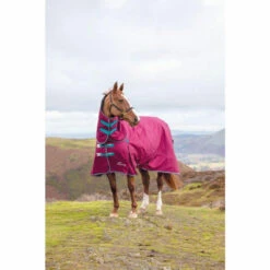 Shires Highlander 300g Combo Turnout Rugs