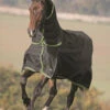 Shires Highlander Plus 350g Combo Turnout Rugs 1 Shires Highlander Plus 350g Combo Turnout Rugs -The Horse Care Shop shires shires highlander plus 350g combo turnout rugs 52201.1631522314