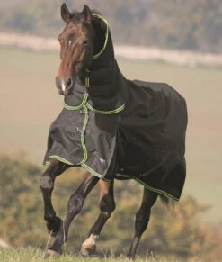 Shires Highlander Plus 350g Combo Turnout Rugs