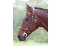 Shires In Hand Clincher Bridles