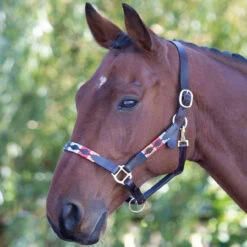 Shires Leather Polo Headcollars - All Colours -The Horse Care Shop shires shires leather polo headcollars all colours 21480.1631825566